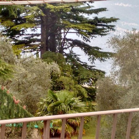 Gardens House Apartment Varenna Bagian luar foto